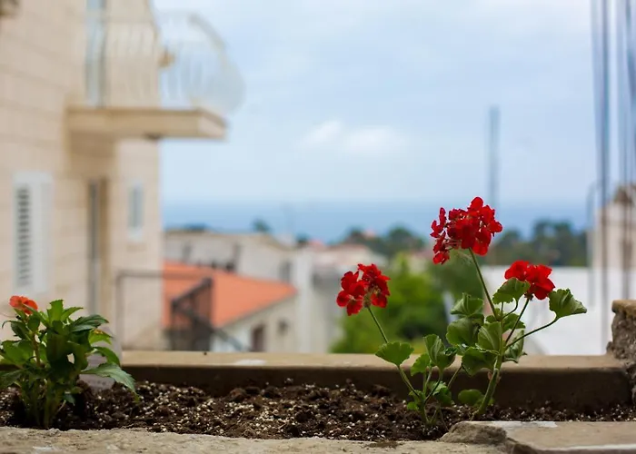 شقة Serious Job *